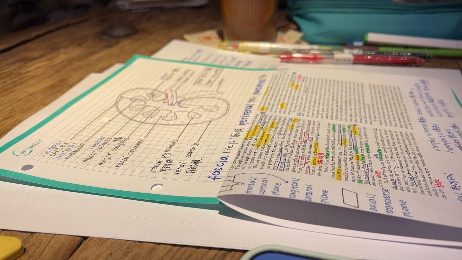 【1.5h沉浸式学习】深夜咖啡店|爵士乐|学习陪伴|English Learning