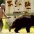 【战斗民族日常】当俄罗斯人遭遇熊（第一期）