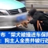 警方公布“柴犬被撞进车保险杠内”监控：狗主人全责并被行政警告