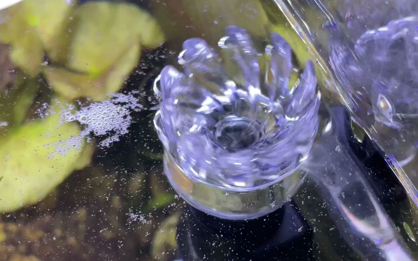 鱼缸油膜，不花钱和花钱的4种解决方案
