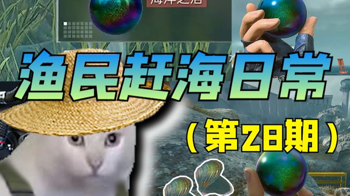 渔民赶海都能摸着啥好货（28）