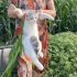 小猫跑进了玉米地，半天不回来，只能自己去抓了～