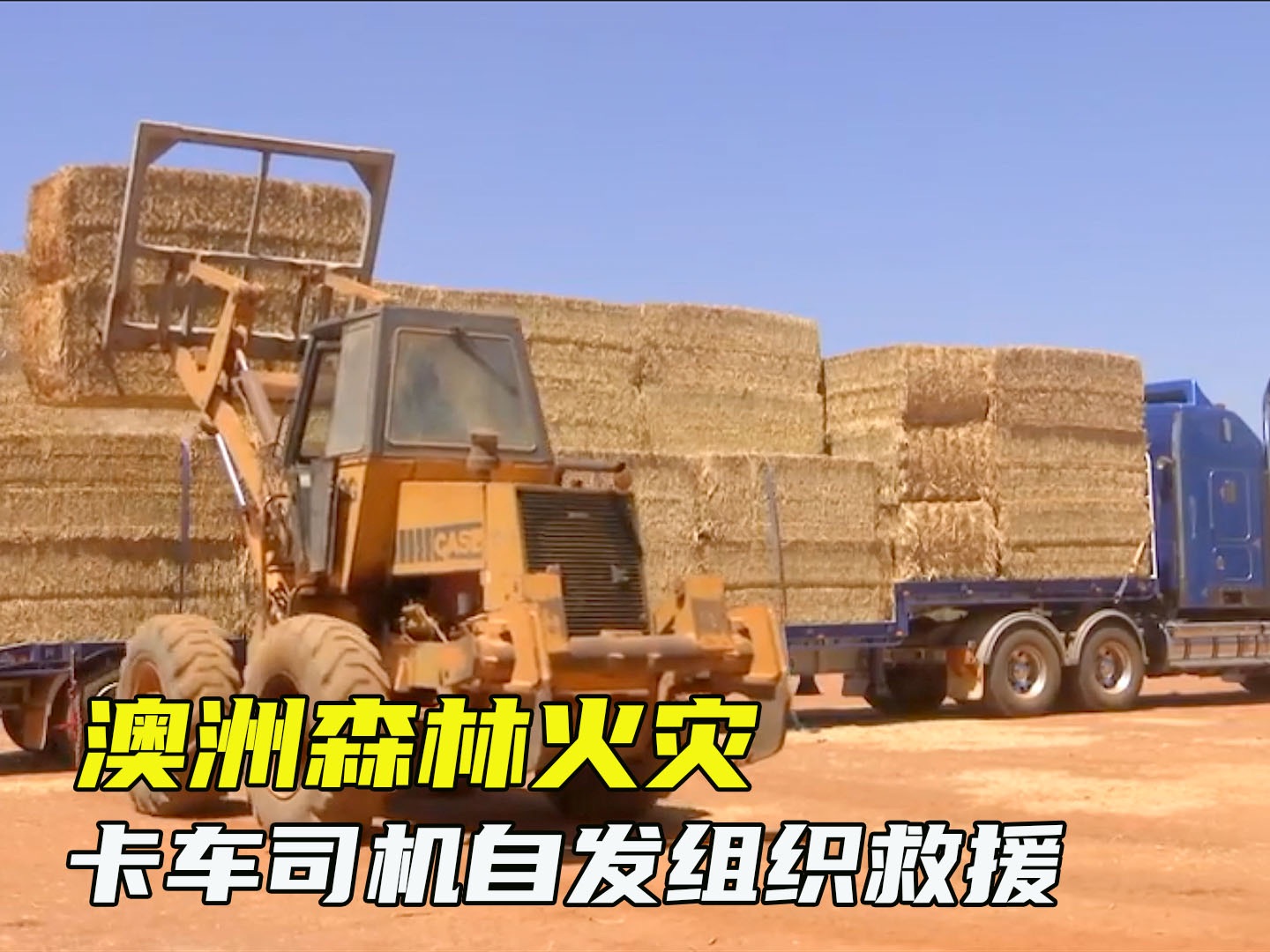 澳大利亚2020年森林大火，司机2400公里运水送干草救灾火，纪录片