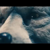 MAN WITH A MISSION- 86 Missed Calls (ft. Patrick Stump