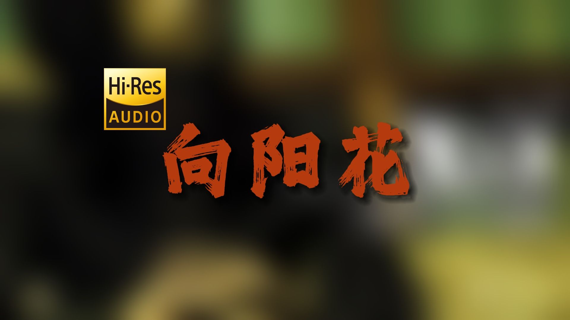 "向阳花，你会不会害怕" 谢天笑《向阳花》【Hi-Res 24bit/192Khz】