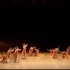 《唐印》群舞女子古典舞