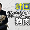 韩国将立法禁食狗肉