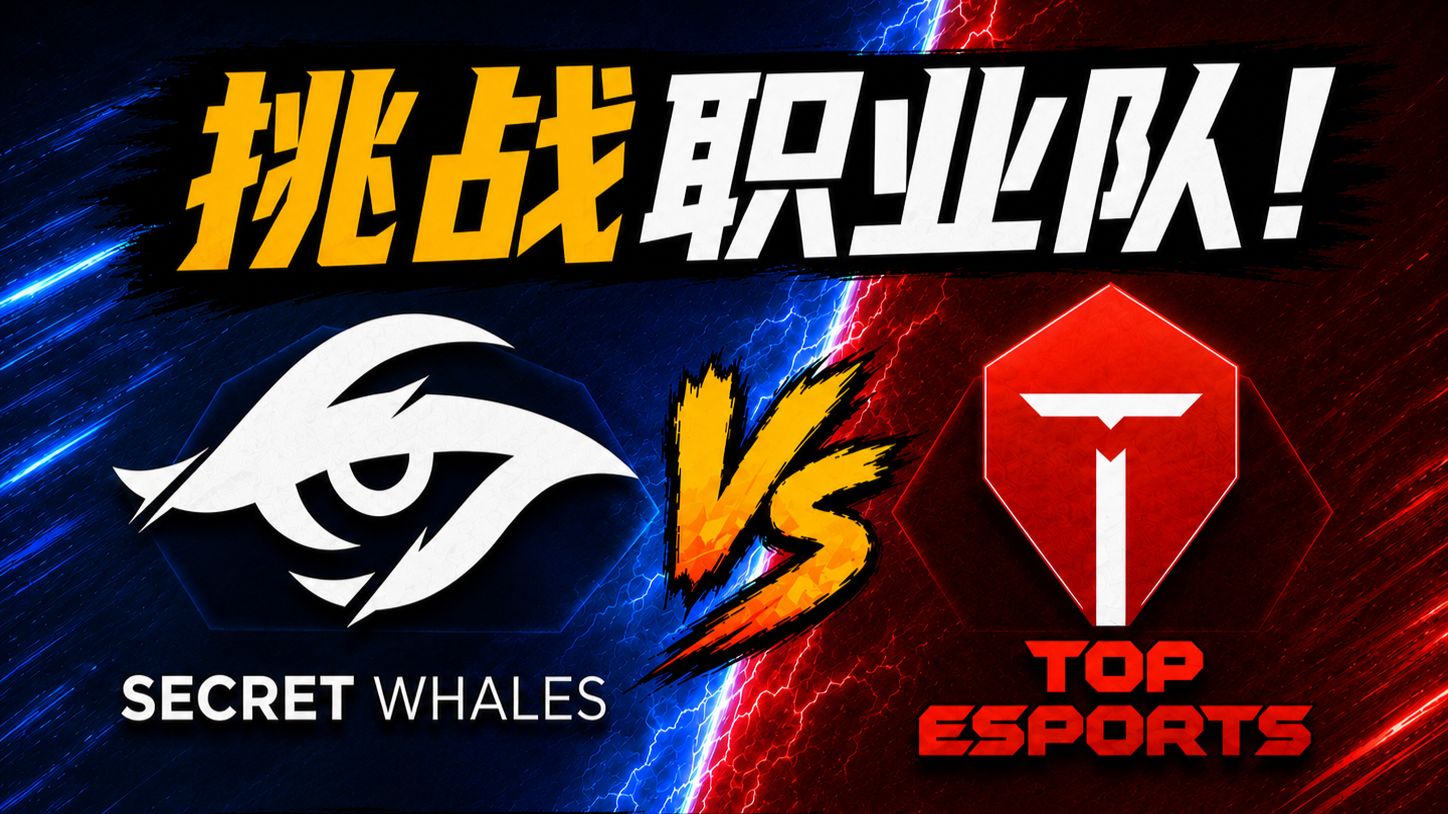 挑战职业队！和gam越战老兵重演TESvsTSW，我们能帮TES打赢复活赛吗？