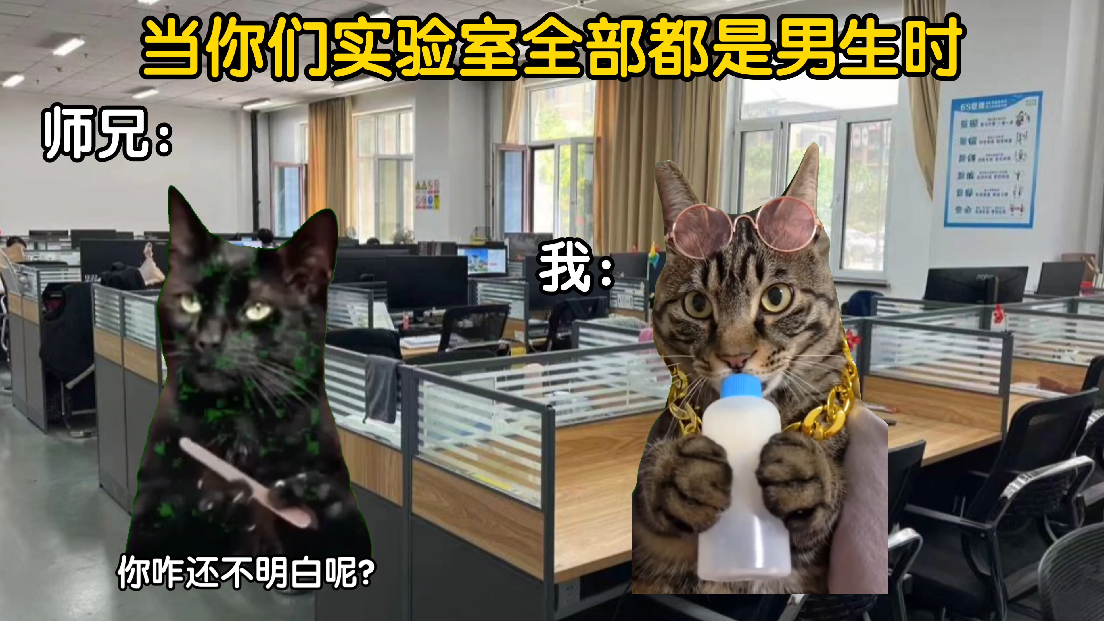 当你们实验室全部都是男生时……