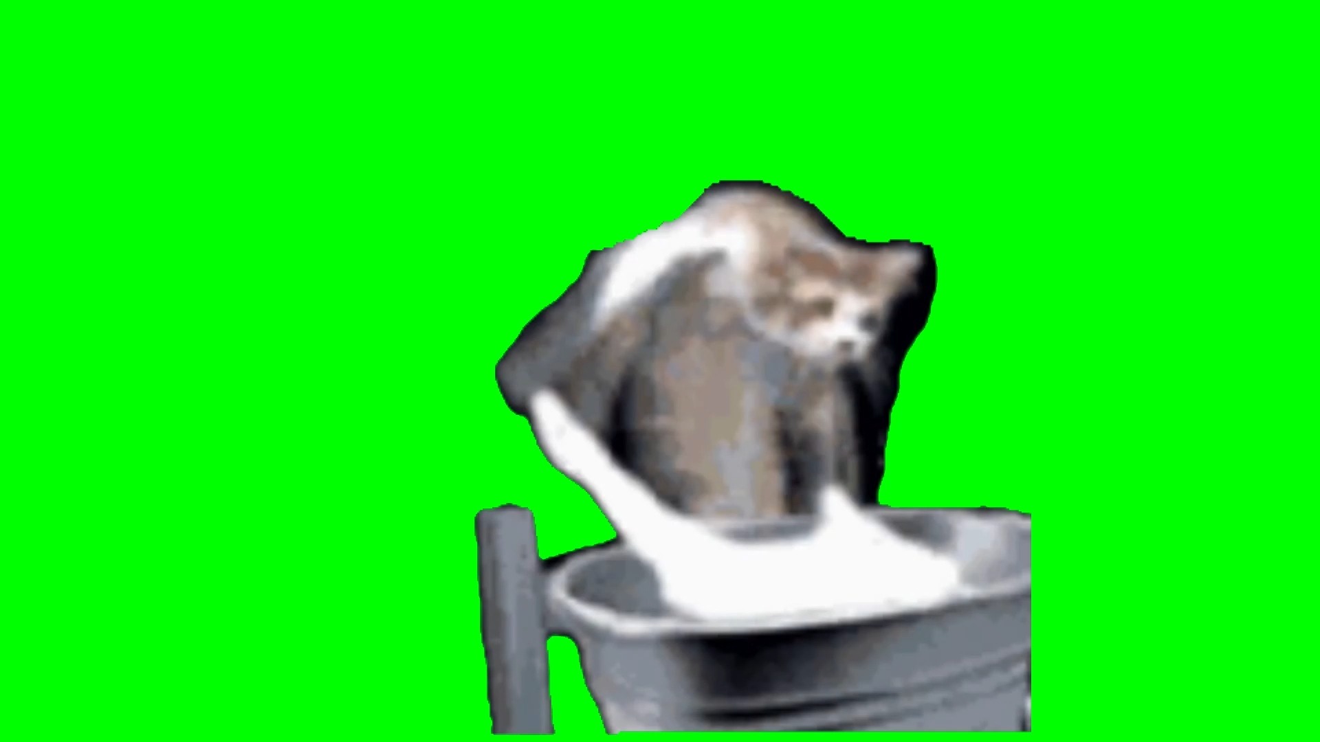 【高清】洗衣服猫猫meme绿幕素材30秒