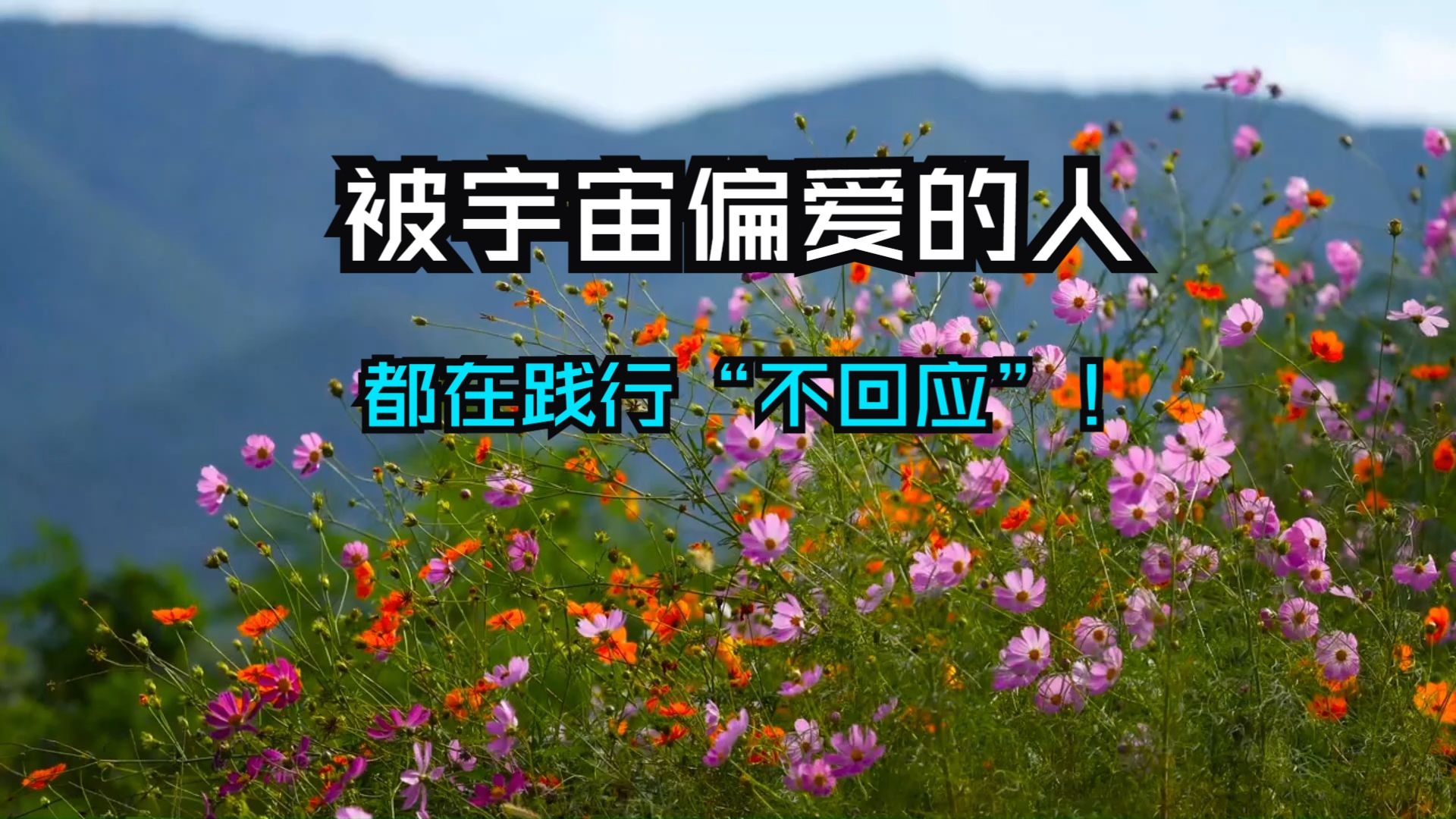 被宇宙偏爱的人，都在践行“不回应”！被选中的灵魂，早已看透不共业才是能量守恒的关键！