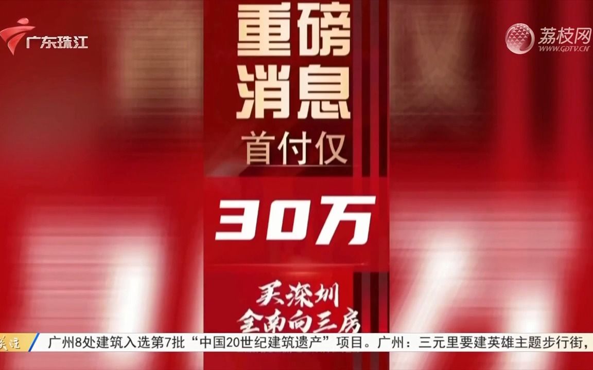 【粤语新闻】深圳一楼盘首付30万购三房引发抢购 涉嫌扰乱市场被当场拿下!哔哩哔哩bilibili