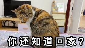 86b98d6cf2ecd5456ea78fbc0939ac85876cd7c9.jpg@280w_158h_1c_100q.jpg