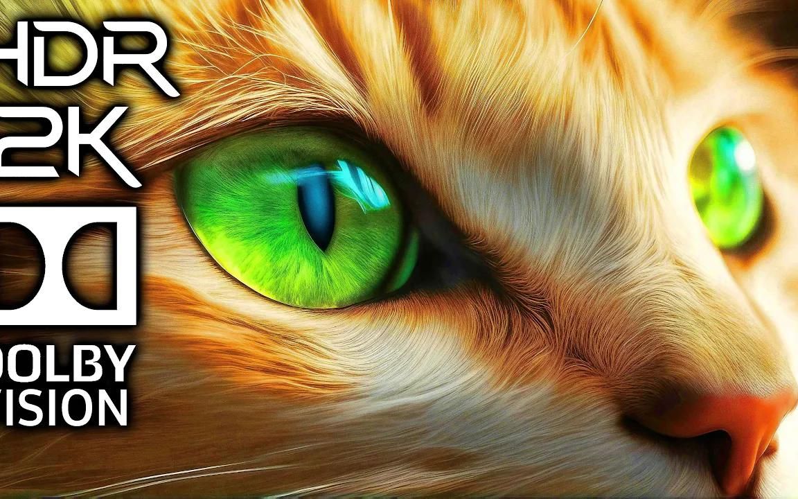 Deep Bright 12K HDR Dolby Vision