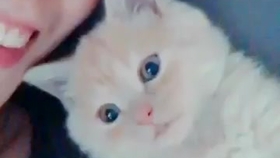 87017c3ede0af9df58f09ee2d1553d09ed0d0fe1.jpg@280w_158h_1c_100q.jpg