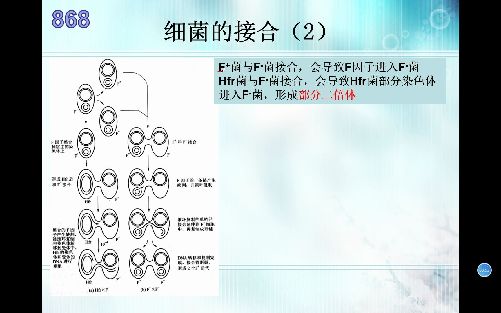 生物竞赛难点34-遗传学-接合、中断杂交与重组作图