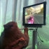 【MindDrive】猴子用脑机接口玩狂野飙车9