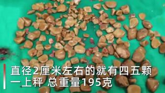 875a2fec28382a56adc323e36e3026aa654b6c30.jpg@336w_190h_1c.jpg