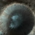 火星上的陨石坑沟壑