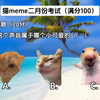 猫meme二月份月考现在开始