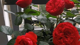 8789bd7876bf327517af5640514a6084125b09be.jpg@280w_158h_1c_100q.jpg