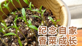 87a2824fdfa1de549c3f588be283d83d1dc68d94.jpg@280w_158h_1c_100q.jpg