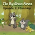 【The Big Green Forest】带字幕 全集视频+音频+PDF故事书  Little Fox一级启蒙动画片