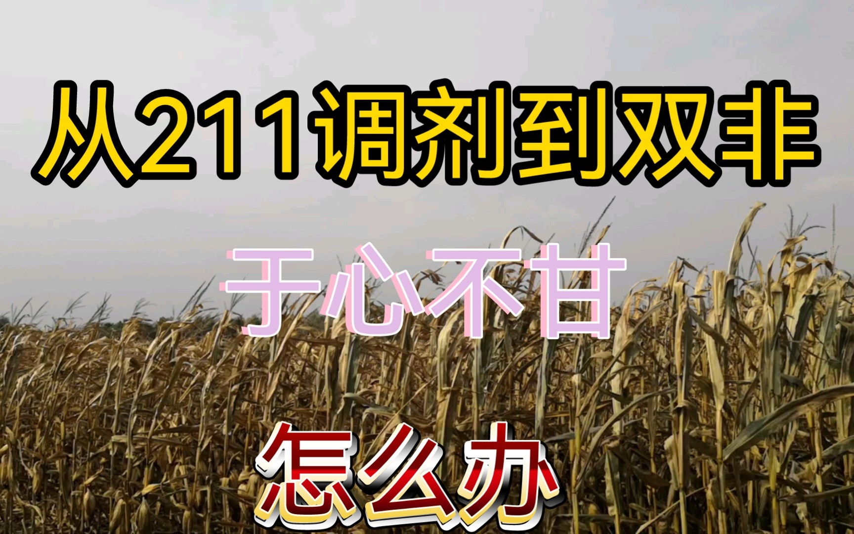 从211调剂到双非,于心不甘,怎么办?哔哩哔哩bilibili