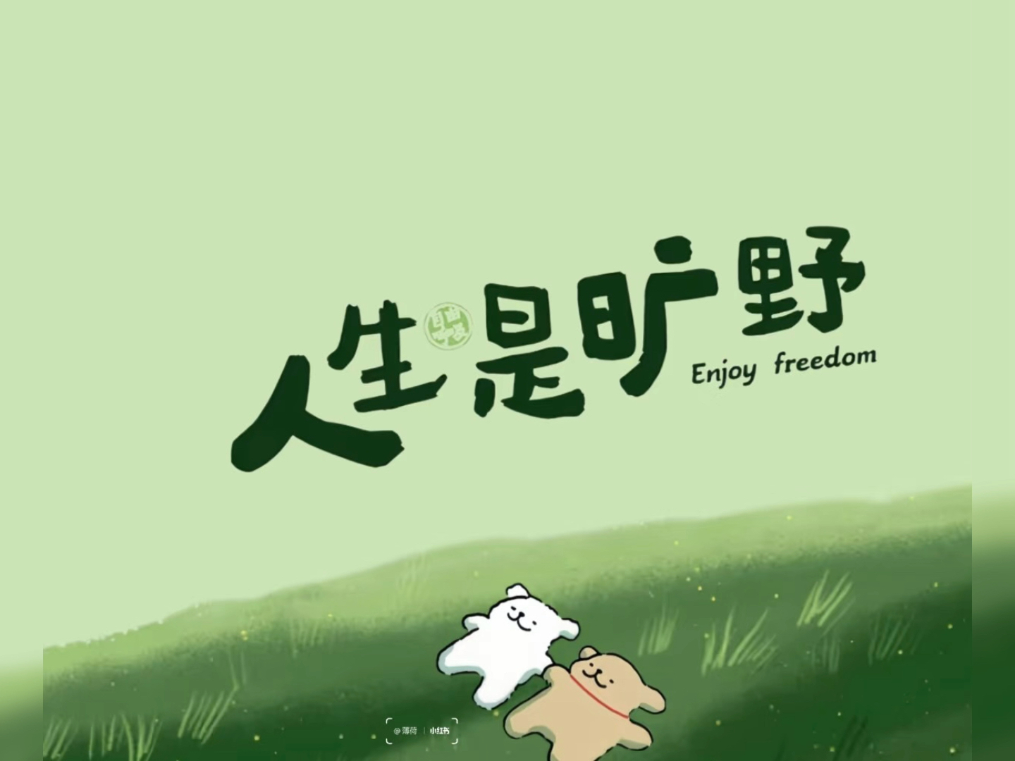 【夏说释放法】如何自测目标释放的进程？（自用技巧分享）