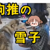 【狗推の雪子】出处，逆天二哈