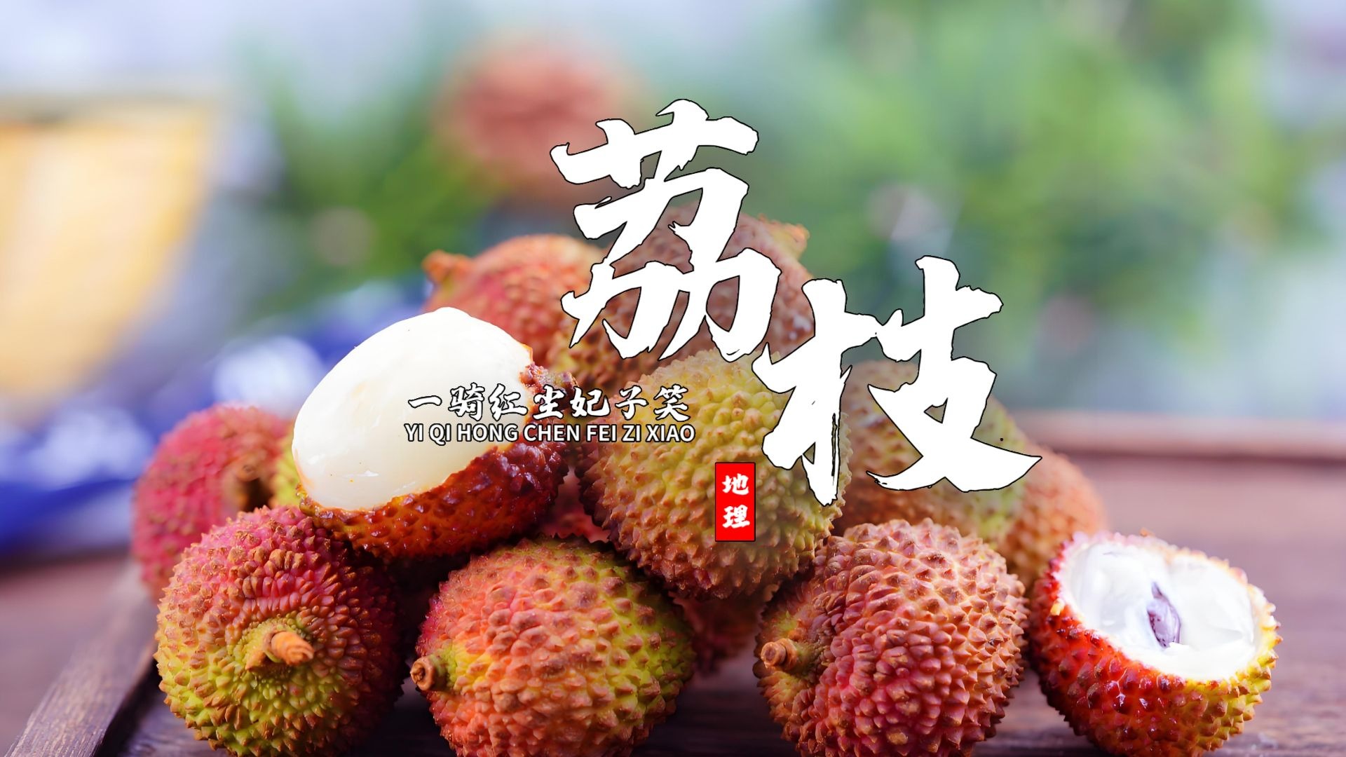 课前三分钟，地理不用愁——荔枝怎么考？【看纪录片学地理】