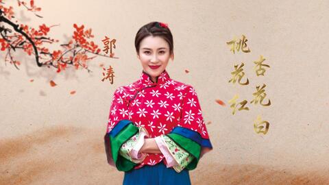 歌曲桃花红杏花白的曲谱_歌曲桃花红杏花白图片(3)