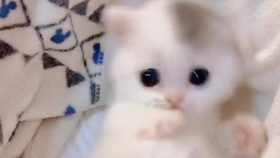 8823e6db854663cb3722a83dcdd076e7ae8cd438.png@280w_158h_1c_100q.jpg