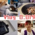 生日vlog | 和狗抢食|喜提大疆|疯狂加餐|放纵而又放松的两天|【盒子何以VLOG】