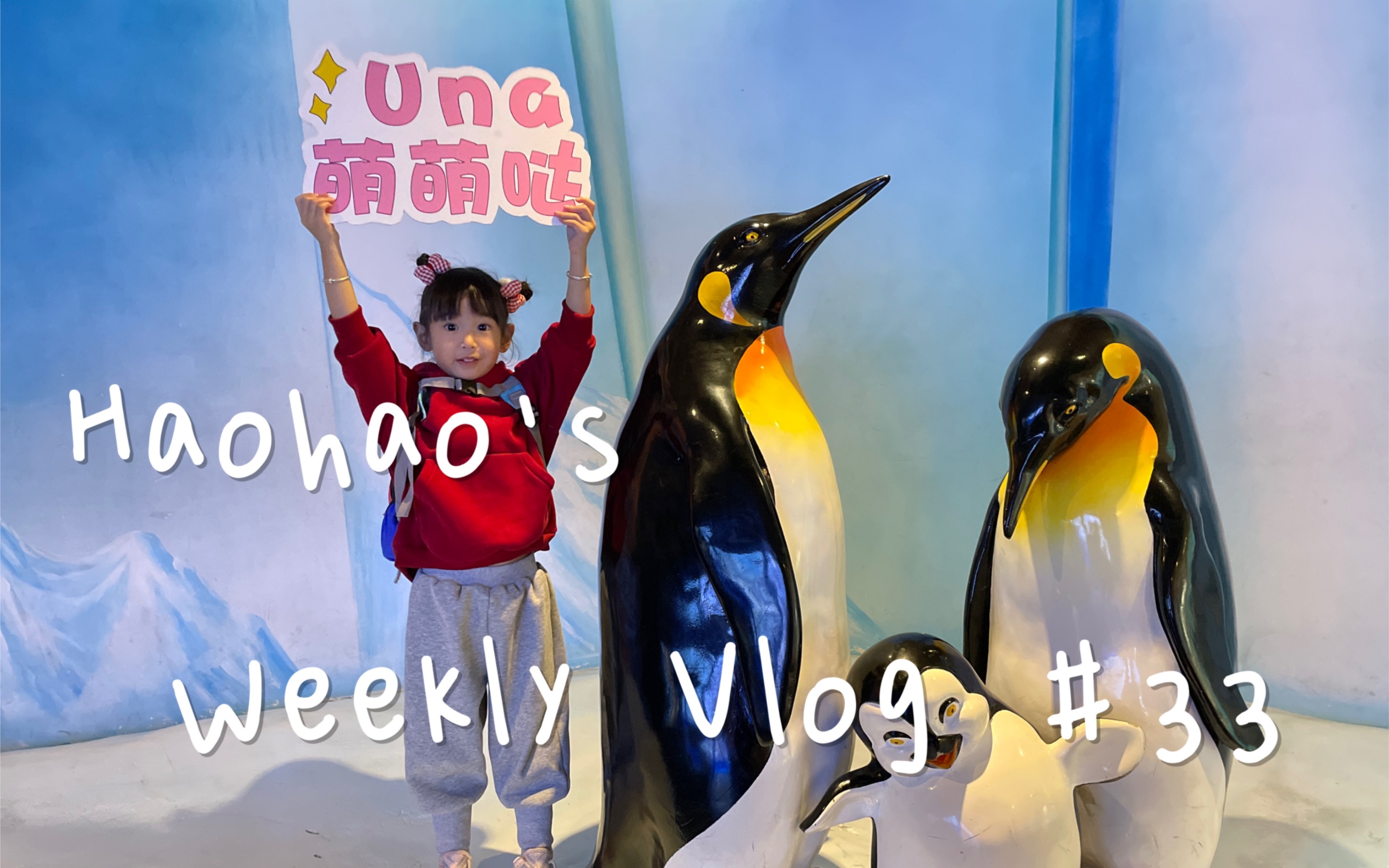 Weekly Vlog #33 | 12月vlog | 海昌海洋公园 | 封控开放后的第一周 | 天天欺负悟空 | 小朋友的聚会