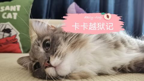 884fd87605c85da99b092dd919614657f970838c.jpg@480w_270h_1c