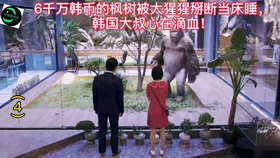 88516fb98d524bd1afd94200da976f35a6dc17ac.jpg@280w_158h_1c_100q.jpg