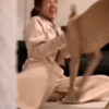 人与狗和谐相处