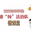 西安培华学院-德扬法治队微课堂 治安管理处罚法