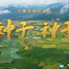 （1080P+）《种子 种子》【全6集