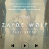 野心家必备《King》-Zayde Wolf