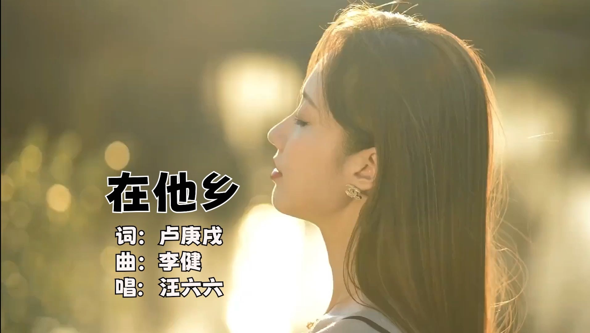 汪六六 - 在他乡 （DJ版），WAV无损音质