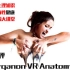 【老福测评】3D Organon VR Anatomy普及生理知识，关爱两性健康（和谐版）老福大讲堂