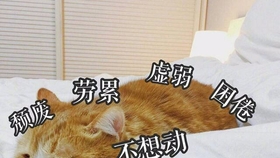 88ad0c82ba45dcc5be39e3aa06db9e62345b1a91.jpg@280w_158h_1c_100q.jpg