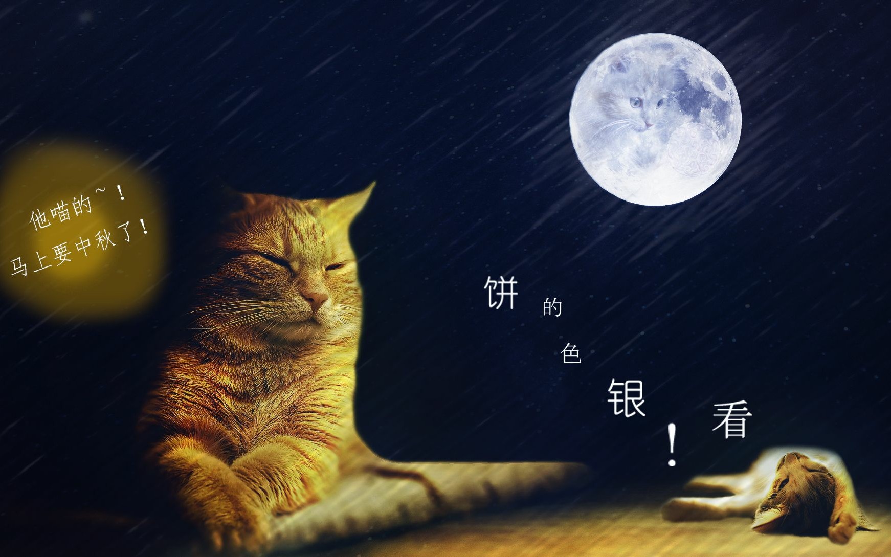 给你一个安静的夜晚】