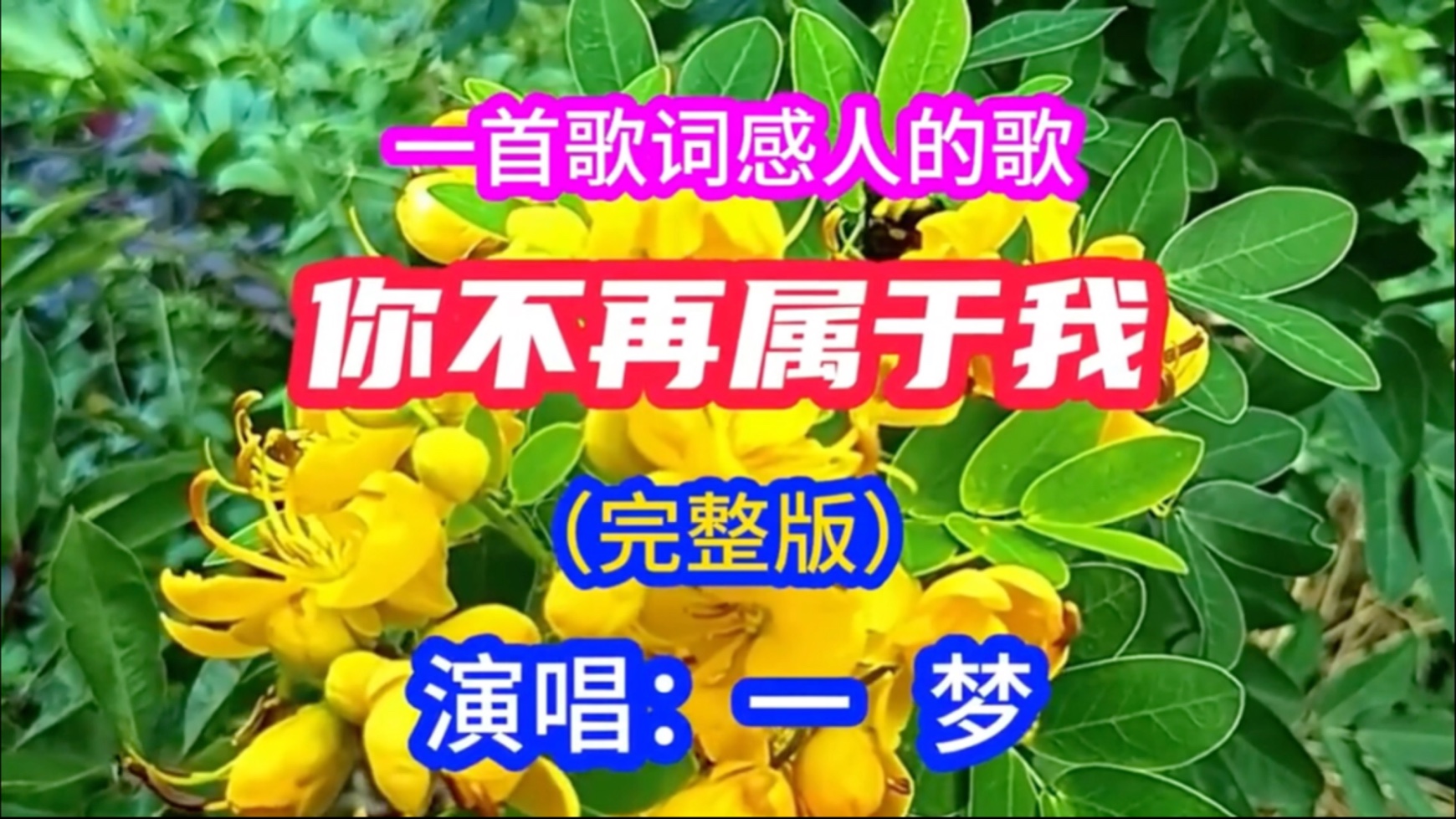 一梦演唱《你不再属于我》完整版，嗓音优美、歌词感人，好听，320k高品质完整版本，另有同款伴奏版本