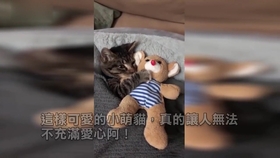 88e9564a9a541a3c2b9cc4f22b325d09e0238e44.jpg@280w_158h_1c_100q.jpg
