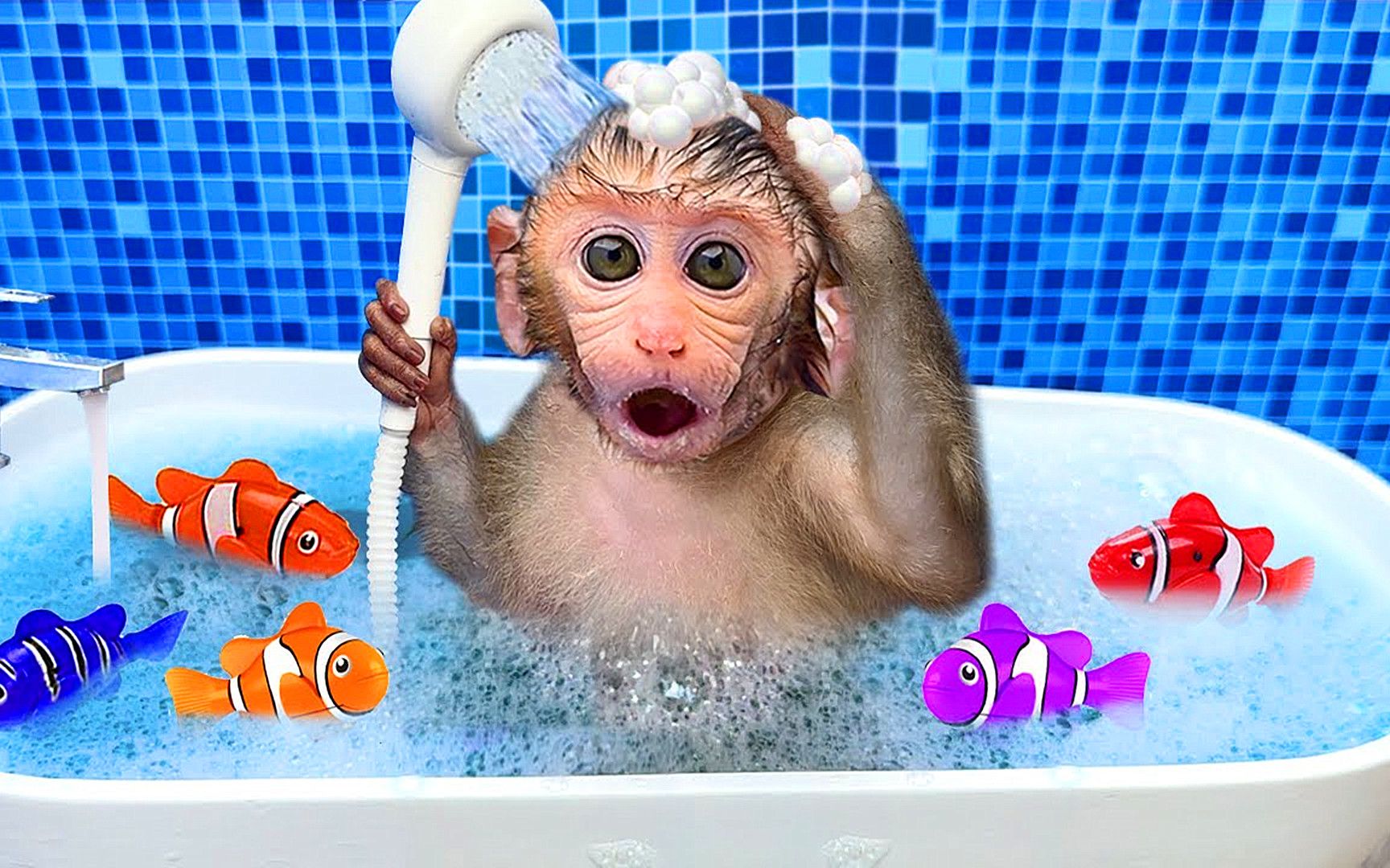 有趣的小猴子：小猴子在浴室里洗澡，全身洗的干干净净的！-小猴子儿童乐园-小猴子儿童乐园-哔哩哔哩视频