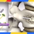 神奇的“骨水泥”，骨质疏松椎体骨折治疗新手段
