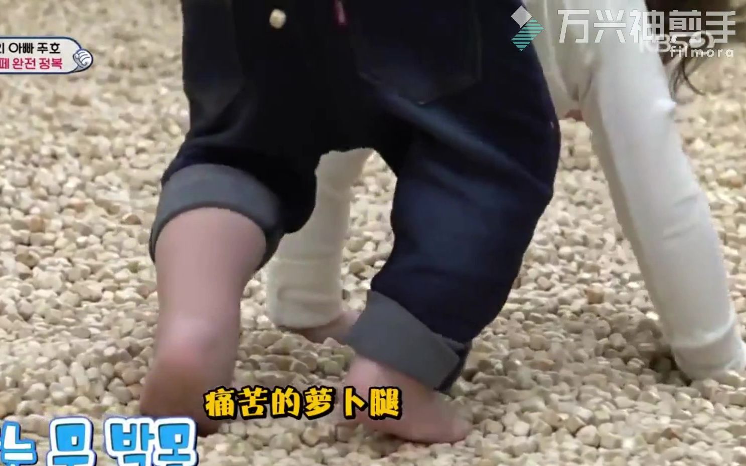 朴建厚被扁柏木折磨的脚疼的猪猪笑到头掉